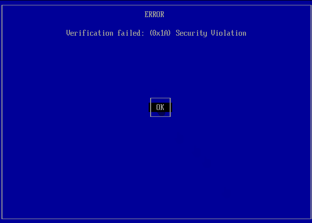 Secure Boot error screenshot